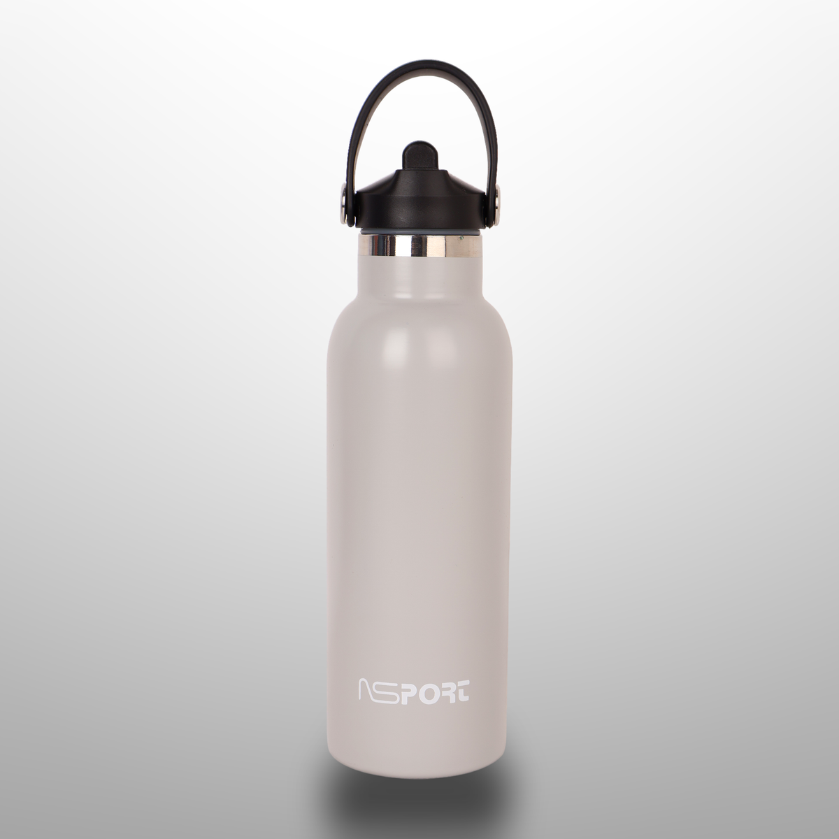 Stainless Steel Water Bottle 500Ml