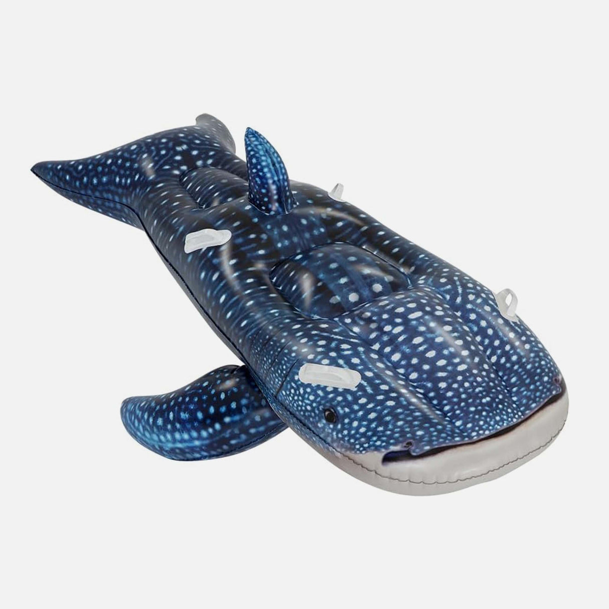 WHALETASTIC WONDERS RIDE-ON 6'4'X48'/1.93MX1.2 (3+Y)