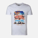 MEN T-SHIRT ROUND NECK REGULAR FIT