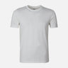 MEN T-SHIRT ROUND NECK REGULAR FIT