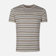MEN T-SHIRT ROUND NECK REGULAR FIT