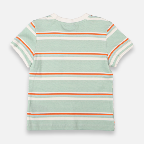 Boys T-Shirt Short Sleeve
