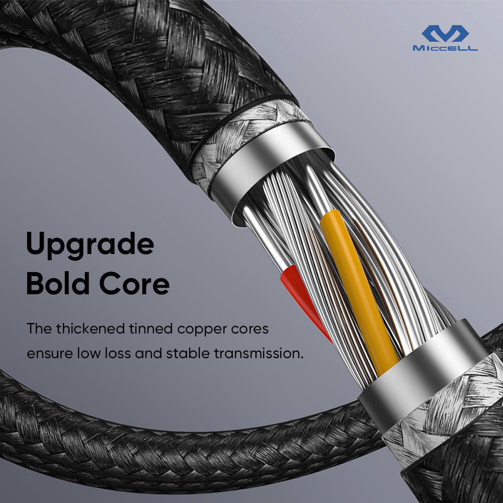 Cable C To L (30W) 3Mtrs