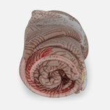 PRINTED CORAL FLEECE BLANKET MIX COLORS 200*220 CM