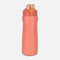 STAINLESS STEEL WATER BOTTLE (750 ML)