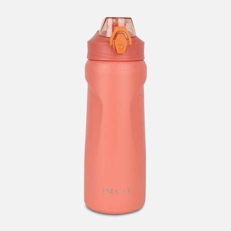 STAINLESS STEEL WATER BOTTLE (750 ML)
