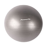 ANTI-BURST GYM BALL WITH FOOT PUMP QJ-BALL004 65CM-GREY