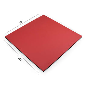 INDOOR MAT